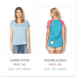 Hover And Rollover Effect