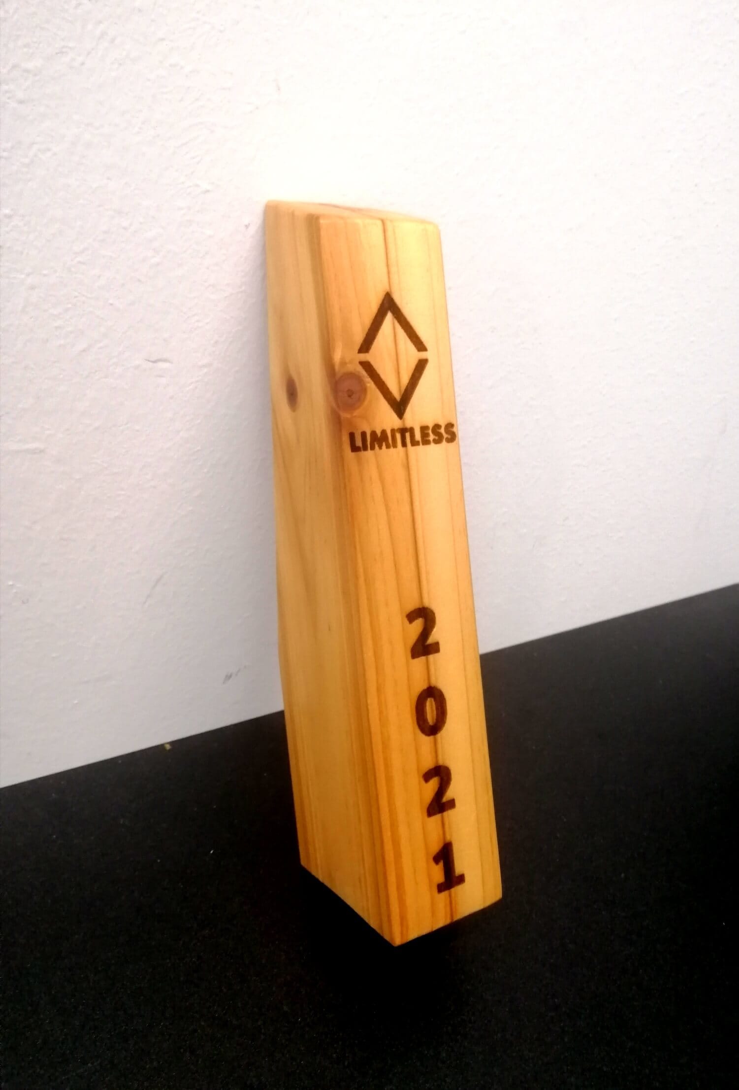 Empowering Our Youths In Partnership With Limitless