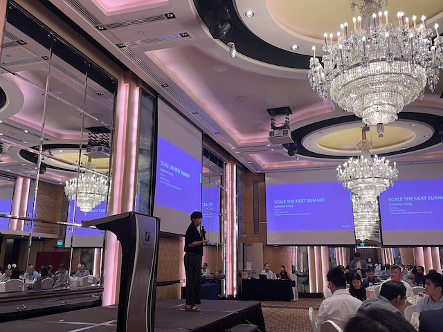 Director Of SMEs Go Digital At IMDA Giving A Speech