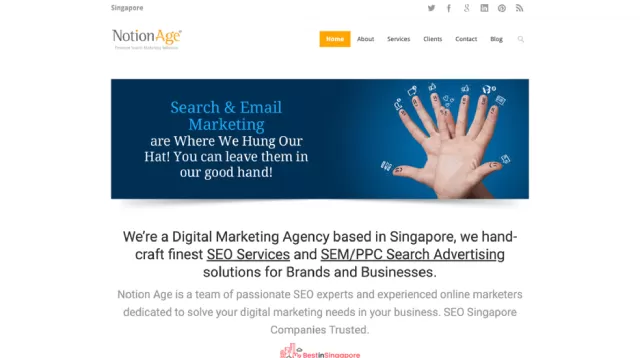 Notion Age SEO