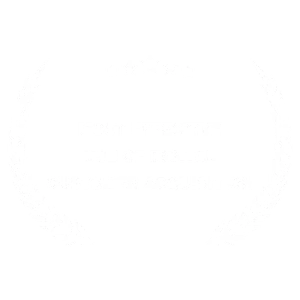 Most Effective Use of Digital Customer Acquisition