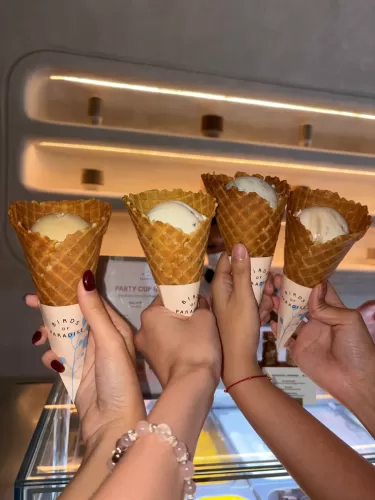 Birds Of Paradise Gelato Cones Botanical Flavours