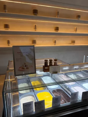 Birds Of Paradise Gelato Display Case Craig Road